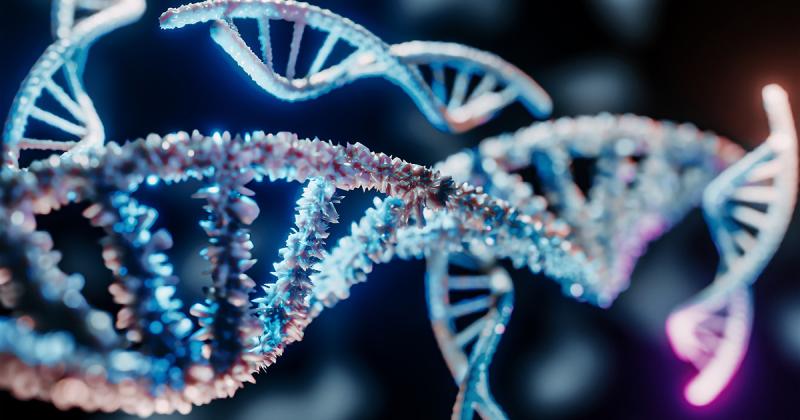 DNA